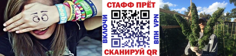 Магазины продажи наркотиков Кингисепп COCAIN  СОЛЬ  ГАШ  Мефедрон 