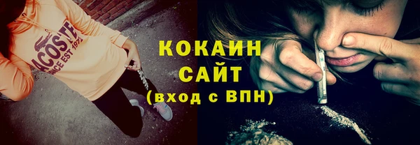 молекула духа Богданович