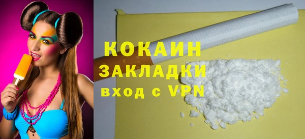 молекула духа Богданович