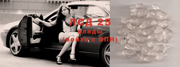 молекула духа Богданович