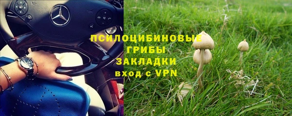 молекула духа Богданович
