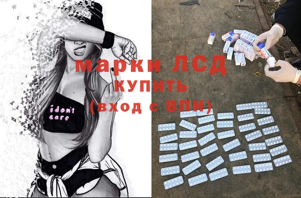 молекула духа Богданович