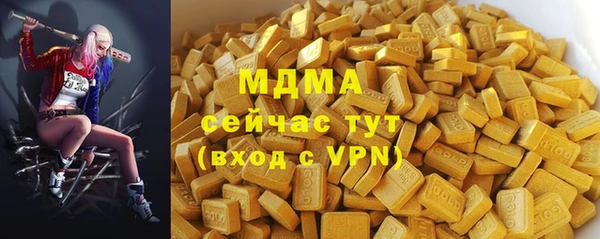 молекула духа Богданович