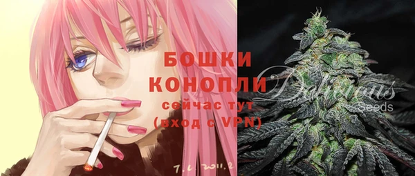 молекула духа Богданович