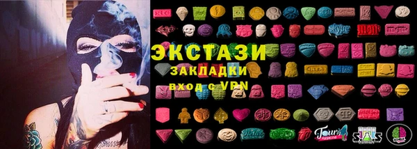 молекула духа Богданович