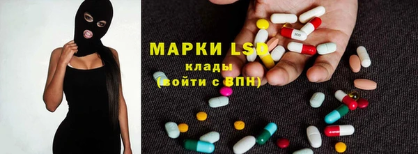 молекула духа Богданович