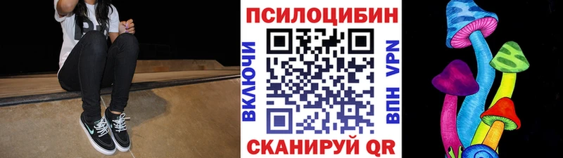 Галлюциногенные грибы мицелий  Кингисепп 